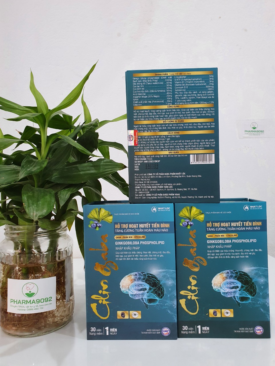 Bổ não Cilin Gaba. Hỗ trợ hoạt huyết, tăng cường tuần hoàn máu não, giảm các triệu chứng rối loạn tiền đình.